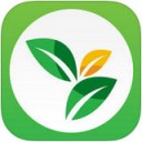 v体育app登录入口网页版V7.5.0火山版
