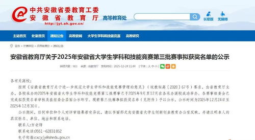 喜報(bào)！安徽揚(yáng)子職業(yè)技術(shù)學(xué)院學(xué)子在安徽省服務(wù)外包創(chuàng)新創(chuàng)業(yè)大賽中斬獲佳績
